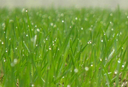 尊龙凯时人生就是搏·(中国区)官方网站