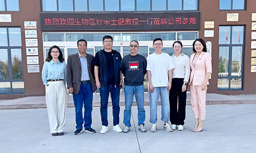 创新驱动科技，赋能产业发展