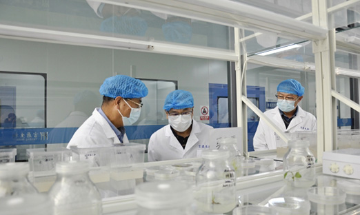 ；锛攀紫蒲Ъ依蠲饕逡恍械椒1xBET集团，共商合作新机缘