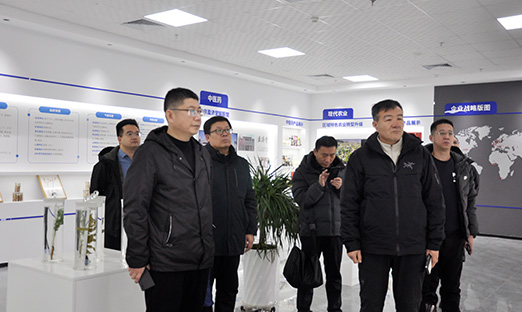 抚松发展投资集团莅临1xBET集团调查互换，同谋人参将来产业发展