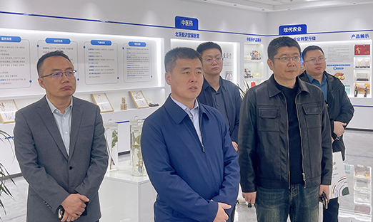 通辽开发区辅导莅临1xBET集团调查互换 共绘合作新篇