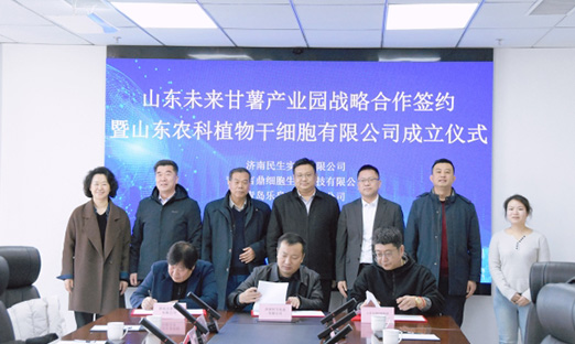 聚力种业创新，共筑薯业将来 | 1xBET集团携手战术同伴，共建“山东将来番薯产业园”